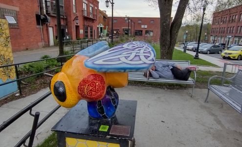 Conte Office Interiors