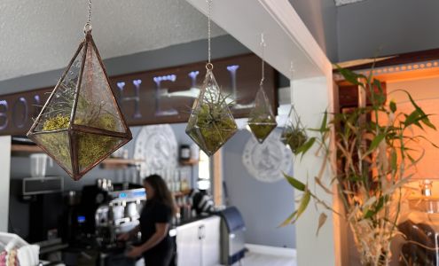 Kinetic Nutrition and Bombshell Coffee