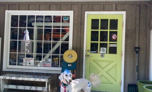 All Dogged Up Inc Shelter Island Heights