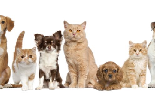 Crivitz Feedmill LLC