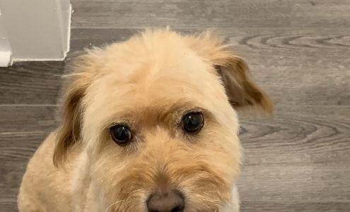 Woof Gang Bakery & Grooming Ashburn