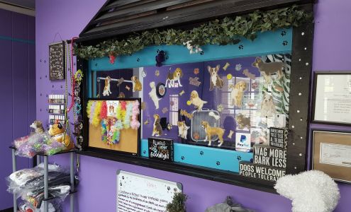 ENV Pet Spa and Grooming