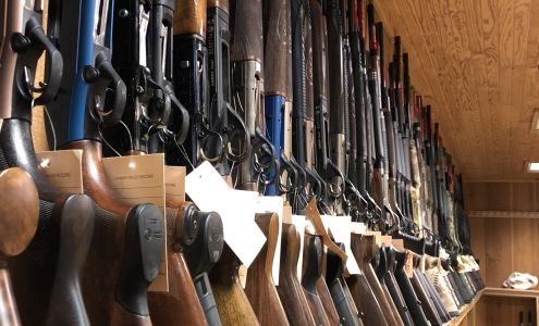 Michael Murphy & Sons