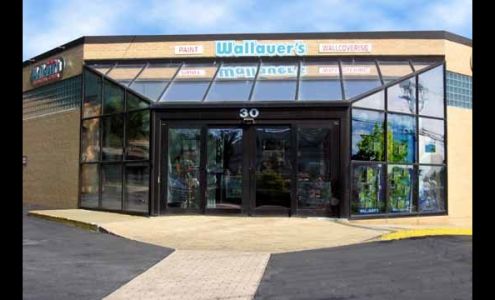 Wallauer Paint & Design