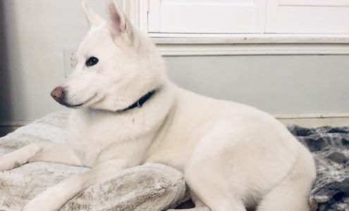 Land Bark Pet Supplies