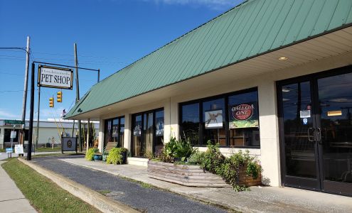 Hendersonville Pet Shop Hendersonville