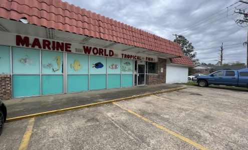Marine World Tropical Fish