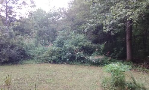 Rickenbacker Violins 109 Rainbow Ln, Black Mountain North Carolina 28711