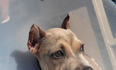 Goshen Veterinary Clinic