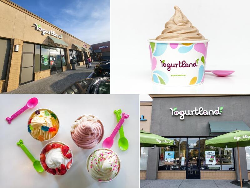 Yogurtland Fremont 4069 Mowry Ave, Fremont