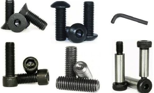 The Nutty Company, Inc.