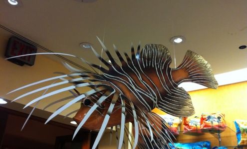 Water Wear Hawaii Koloa