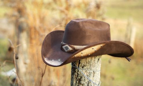 Western Express Lawrence