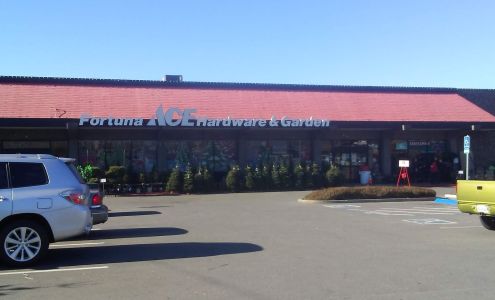Ace Hardware Fortuna