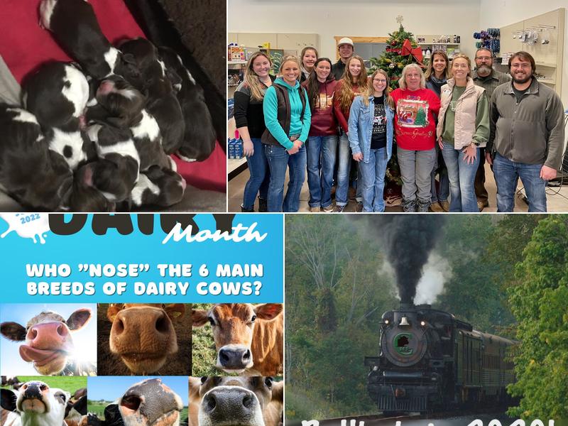 Cattleman's Resource, Inc.