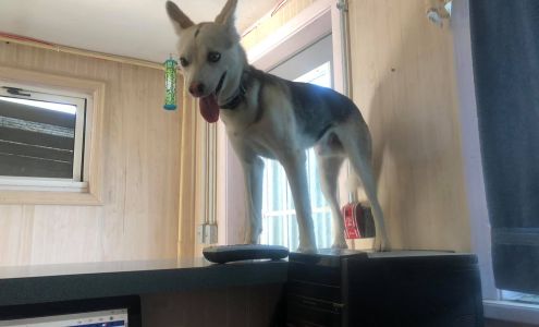 Triple R Pet Palace New Berlin