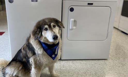 Luecke Audio Video Appliances