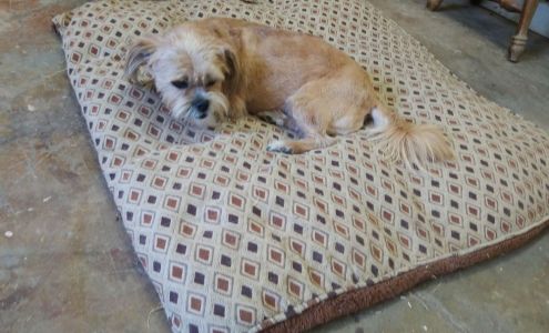 Klassic K-9 Grooming