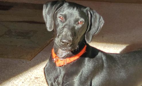 Madison Outdoors Madison