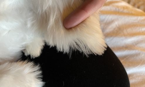 PAWS Pet Supply & Grooming