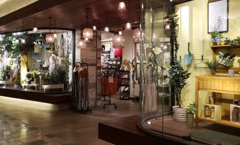 Altar'd State Fayette Mall