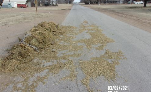 Protection Police Department Protection