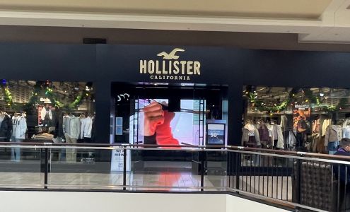 Hollister Co.