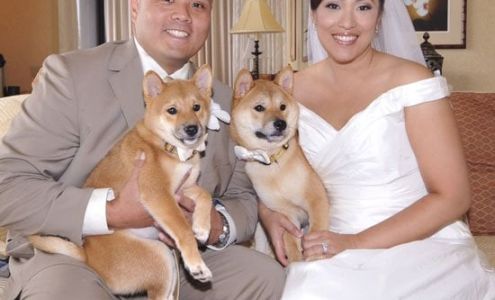 Hawaii Pet Nanny, LLC