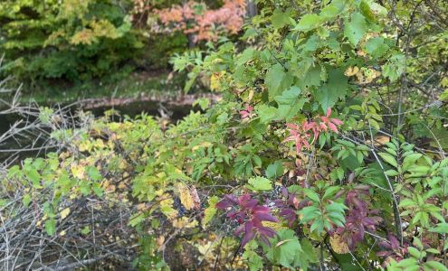 Friends of PLYMC Bookstore