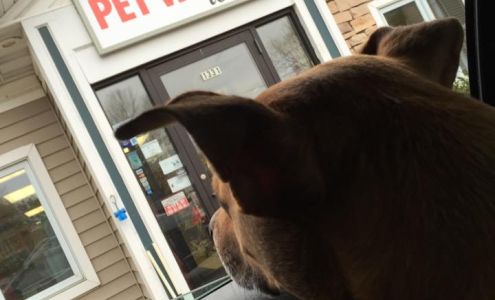 Angels Pet World Too