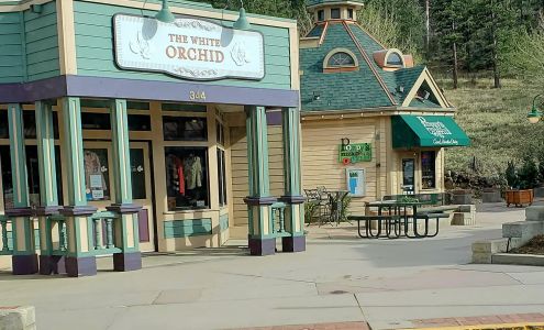 The White Orchid