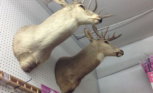 Andy's Hardware & Lumber Hanover