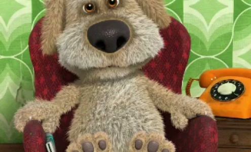 Royal Tea Yorkies Campbellsville