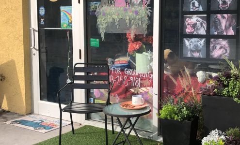 Wag Natural Pet Market & Grooming Tampa