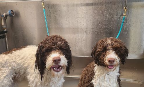 Dogma Pet Supply & Dog Wash