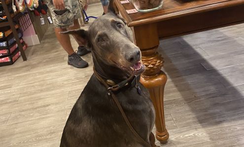 Woof Gang Bakery & Grooming Winter Park