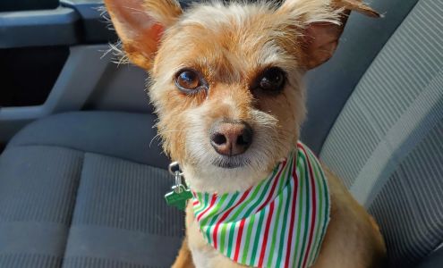 Pretty Paws Salon & Spa