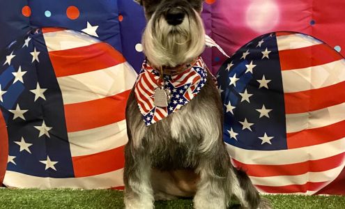 Woof Gang Bakery & Grooming Apopka