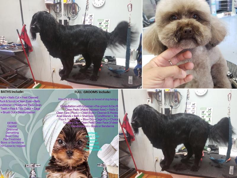 Bloomingtails Pet Salon