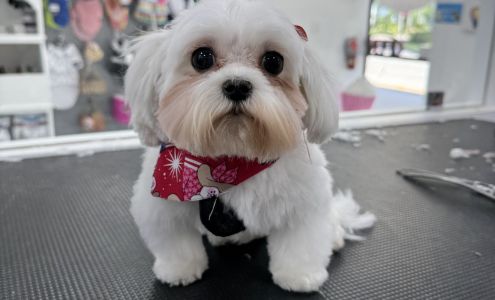 Puppylicious Pet Grooming Salon