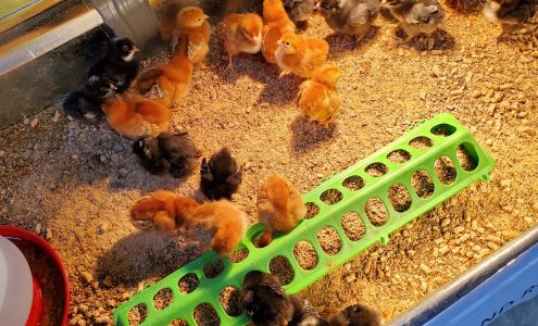 Country Oaks Farm & Home Supply