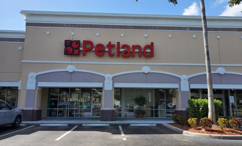 Petland - Ft. Myers Fort Myers
