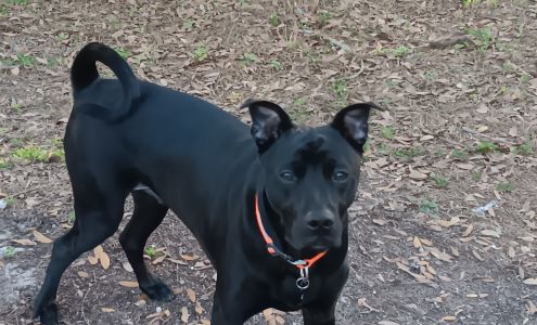 Humane Society of North Central Florida - North Campus