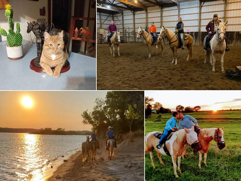 Coyote Creek Tack & Stables