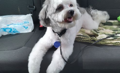 Atlantic Doggery Inc