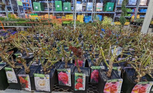 Garden Center at The Home Depot