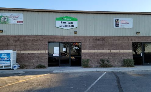 San Tan Livestock