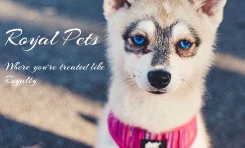 Royal Pets Market, Resort, Veterinary Center