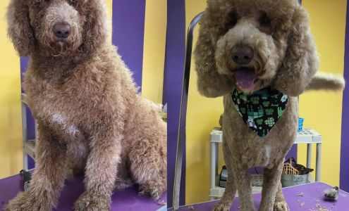 Doggy Stylez Pet Salon