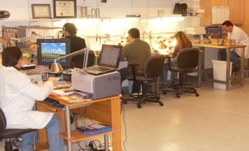 HearSource Bainbridge